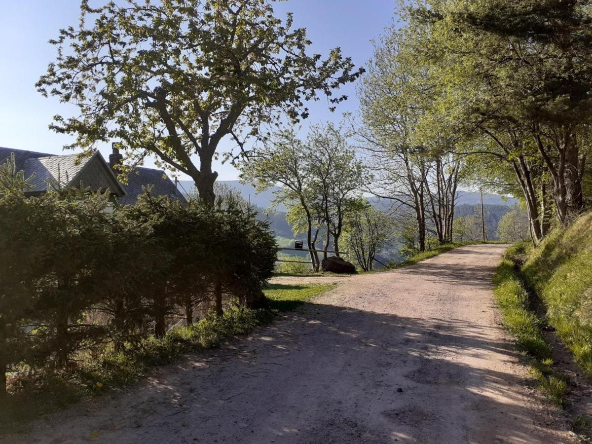 Vila Nordiques De La Welche Orbey Exteriér fotografie