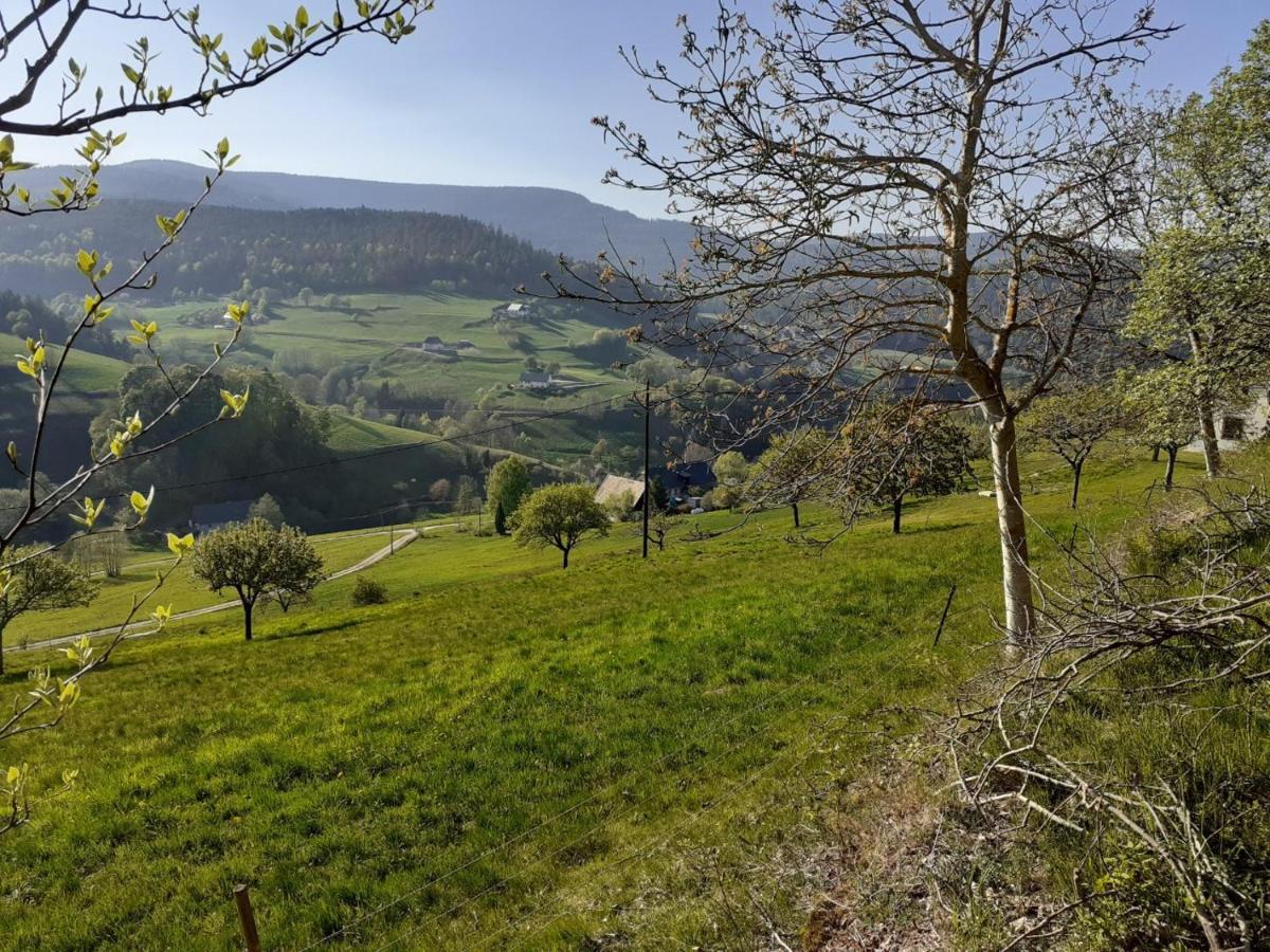 Vila Nordiques De La Welche Orbey Exteriér fotografie