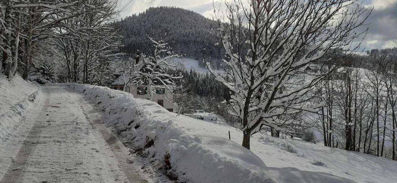 Vila Nordiques De La Welche Orbey Exteriér fotografie