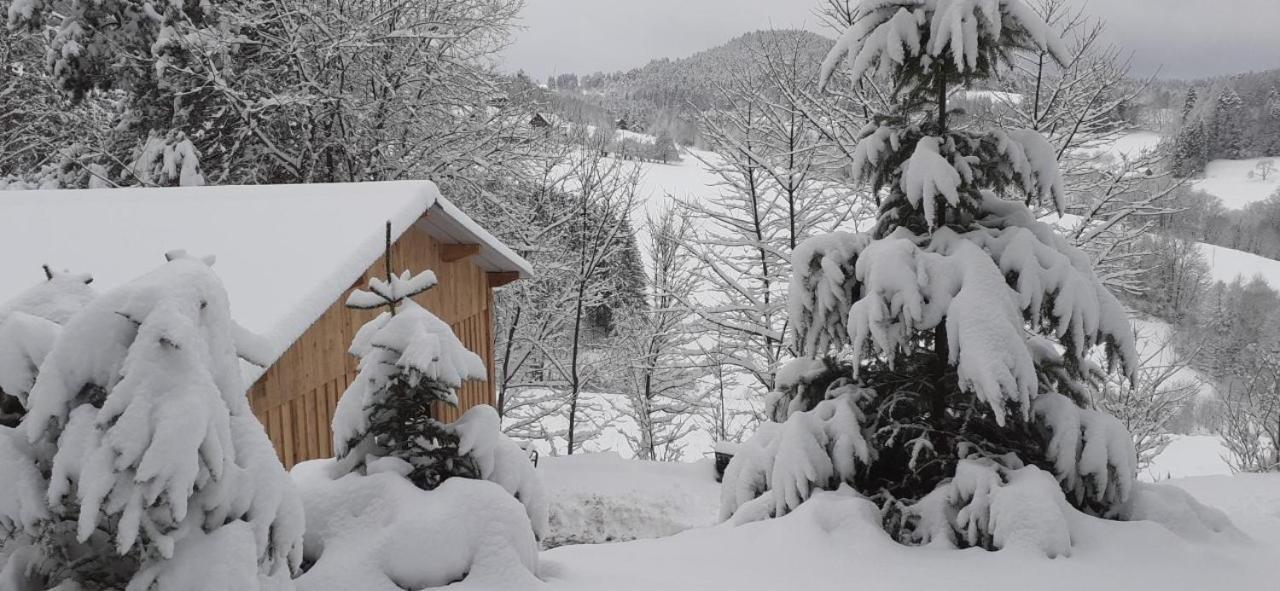 Vila Nordiques De La Welche Orbey Exteriér fotografie