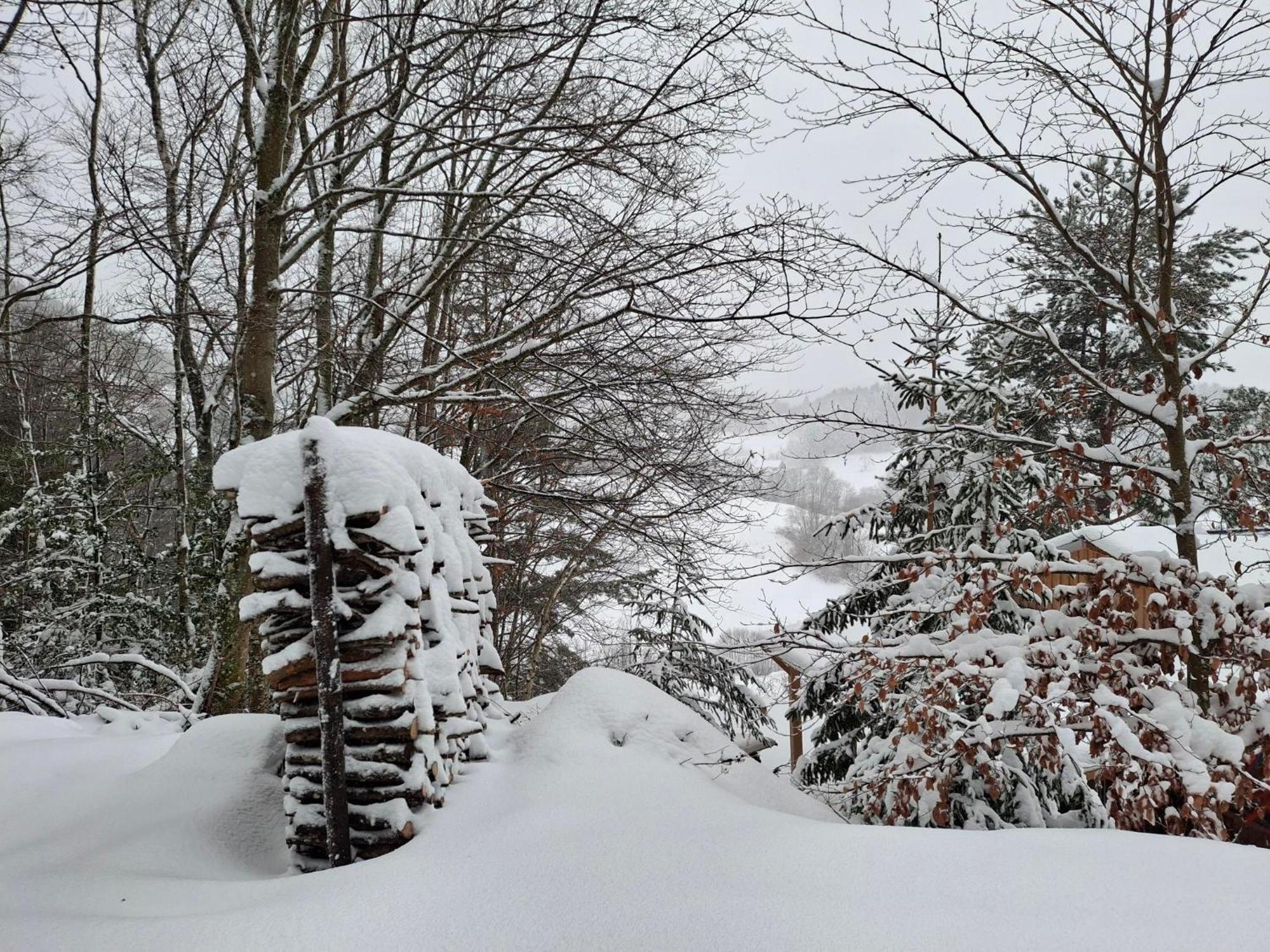 Vila Nordiques De La Welche Orbey Exteriér fotografie