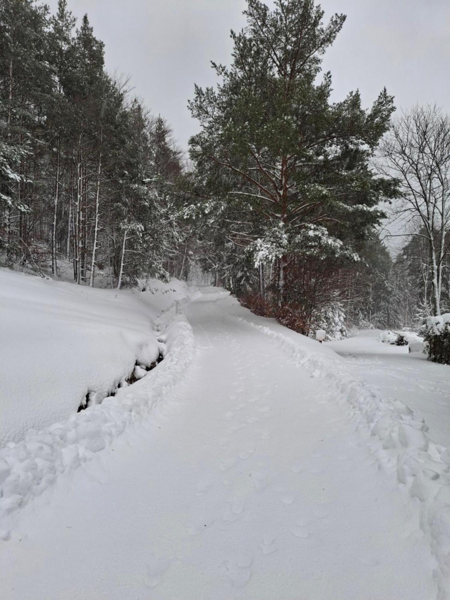 Vila Nordiques De La Welche Orbey Exteriér fotografie